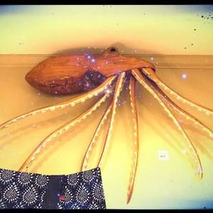 Meet your Posher, Jim